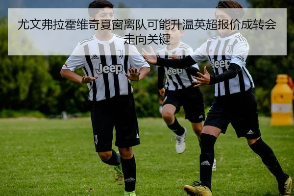 尤文弗拉霍维奇夏窗离队可能升温英超报价成转会走向关键